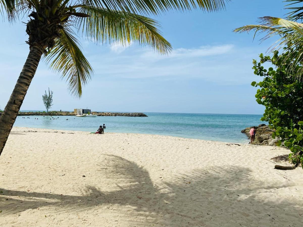 Vanille, A Proximite Des Plages, Idealement Situe Pour Visiter La Guadeloupe لو جوسيير المظهر الخارجي الصورة